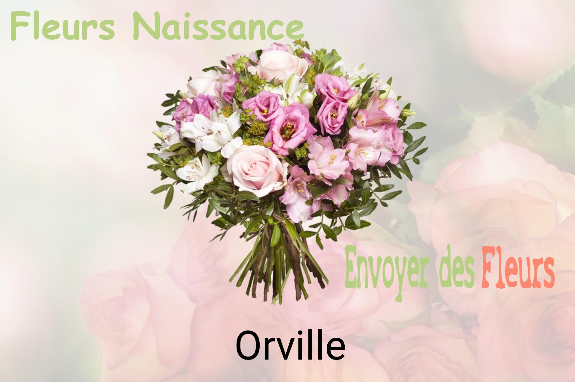 Bouquet de fleurs de naissance livré à Orville